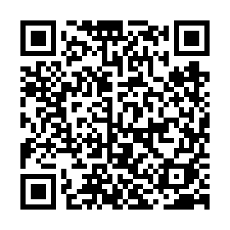 QR code for ML96UI