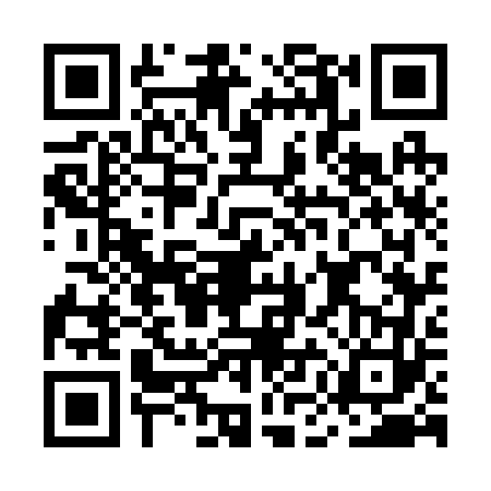 QR code for MMG2638