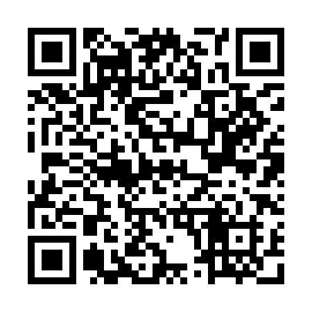 QR code for MP29HH