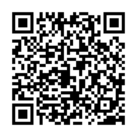 QR code for MPH1994