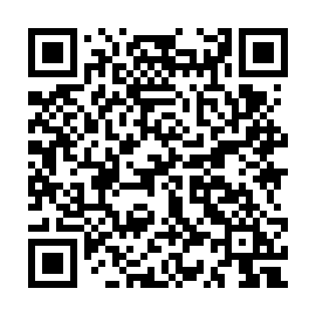 QR code for MS96RI