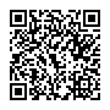 QR code for MSL4993