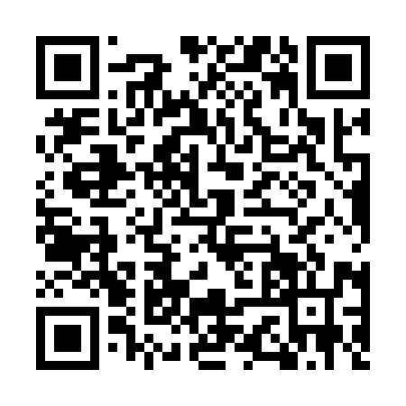 QR code for MSX1963