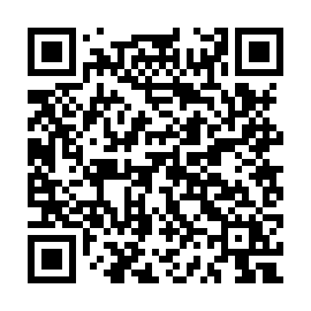 QR code for MV28ZX