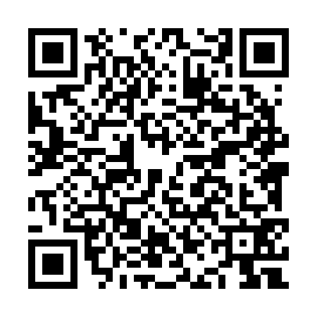 QR code for NAL2729