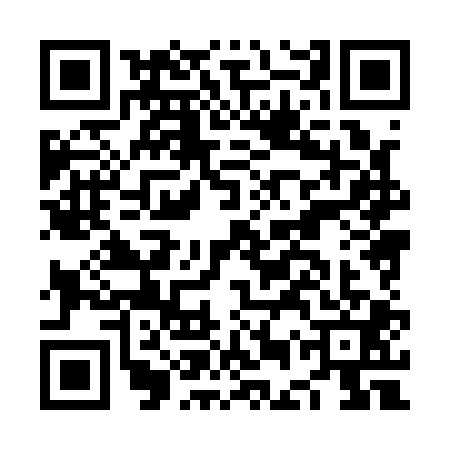 QR code for NEX1013
