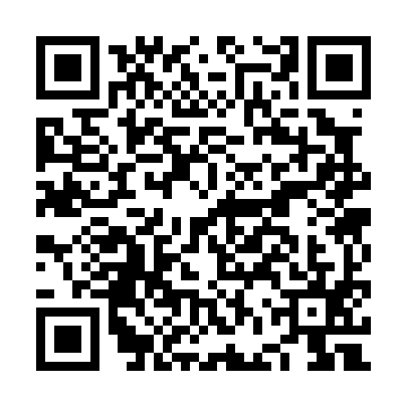 QR code for NFS0953