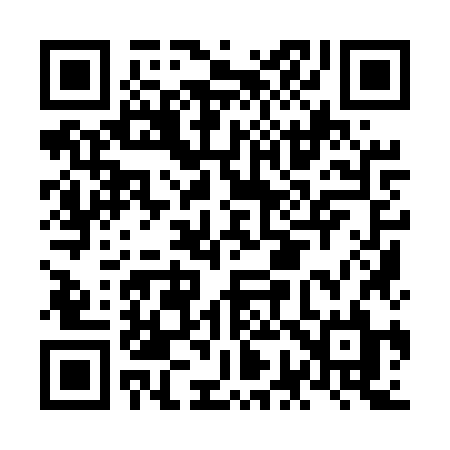 QR code for NG95ZL