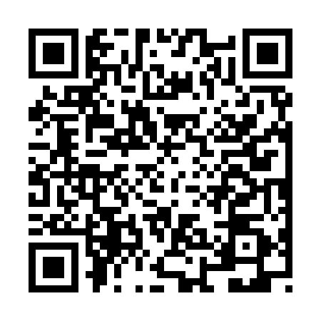 QR code for NHG9509