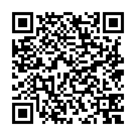 QR code for NHQ9384