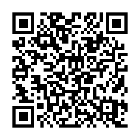 QR code for NI11VU