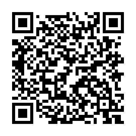QR code for NI95KK