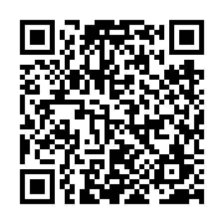 QR code for NI96SV