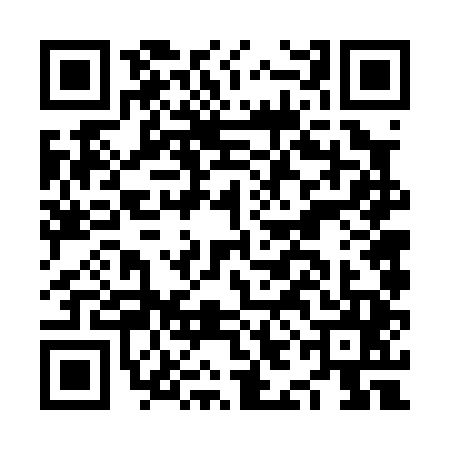 QR code for NIF0453