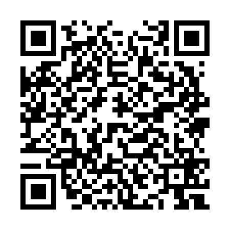 QR code for NII6696