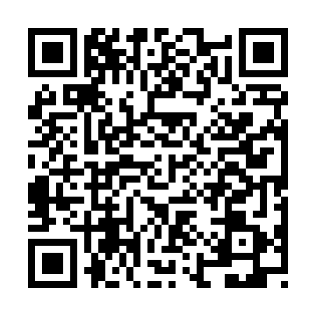 QR code for NIU4611