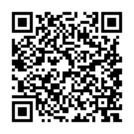 QR code for NIV9411