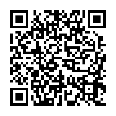 QR code for NIZ2992