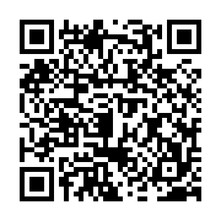 QR code for NIZ8163