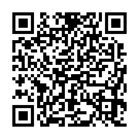 QR code for NKR2739