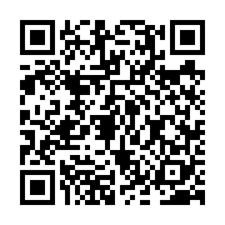 QR code for NKV6685