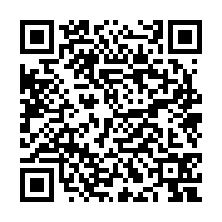 QR code for NLO2341