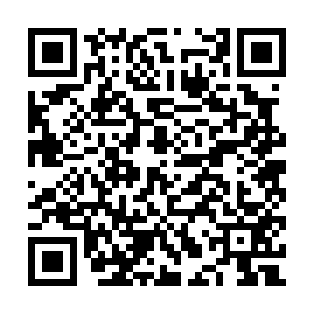 QR code for NLR0533