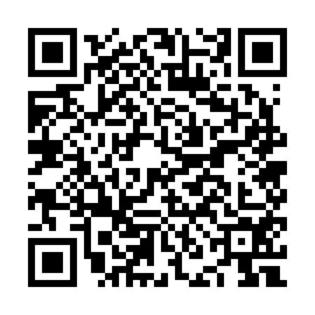 QR code for NNG2541