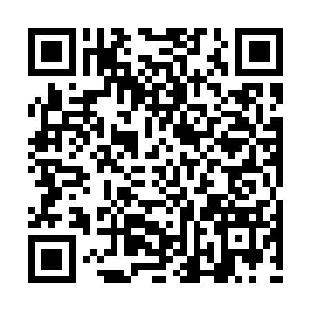 QR code for NNM0338