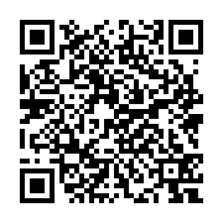 QR code for NNM3336