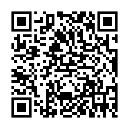 QR code for NPL3578