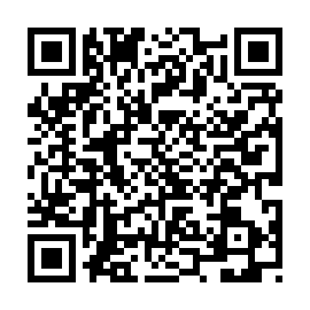 QR code for NPL8939