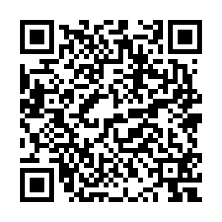 QR code for NPM6125