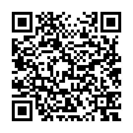 QR code for NPR9393