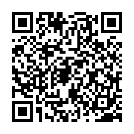QR code for NPZ8738