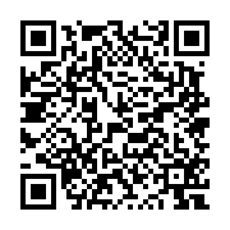 QR code for NQE4165