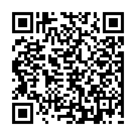 QR code for NQG3861