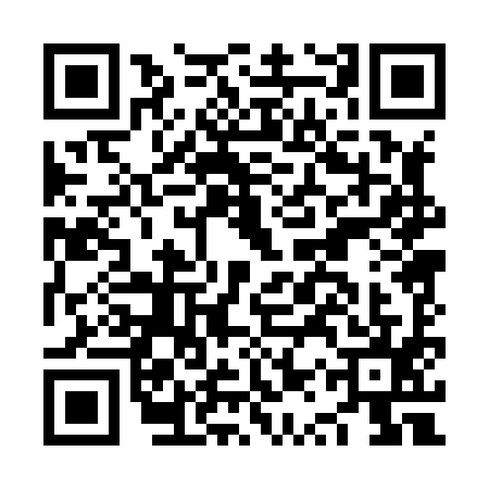 QR code for NQP8951