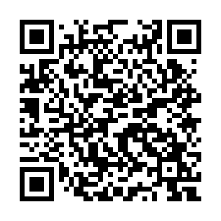 QR code for NS12VO