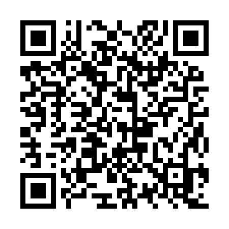 QR code for NS29ZJ