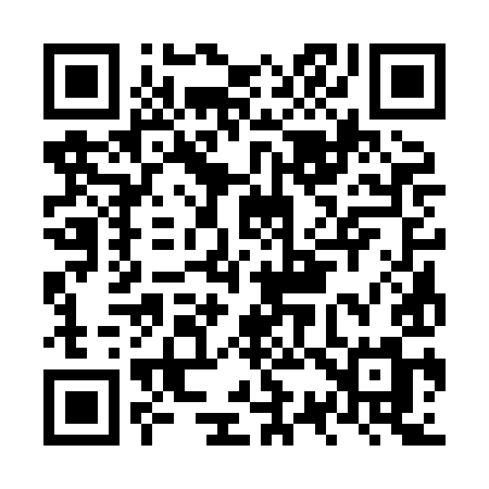 QR code for NS38IM