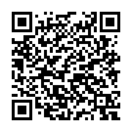 QR code for NS87CP