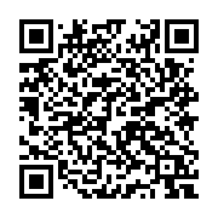 QR code for NS95PP
