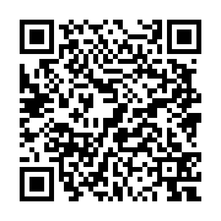 QR code for NSX4339