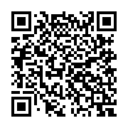 QR code for NX38MI