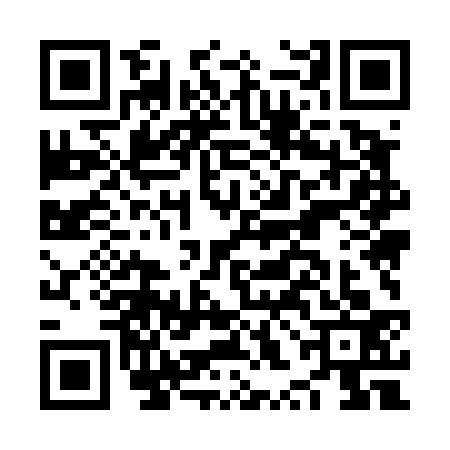 QR code for NXM4339