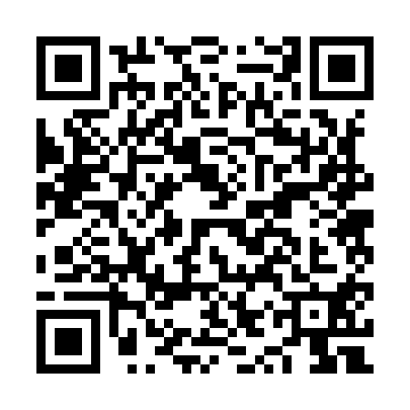 QR code for NYR9106