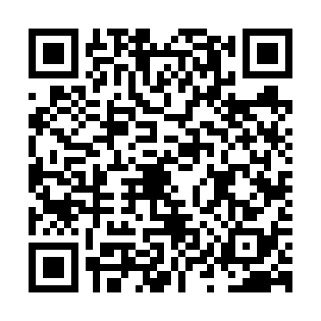 QR code for NYV6381
