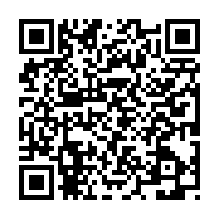 QR code for NZO4378
