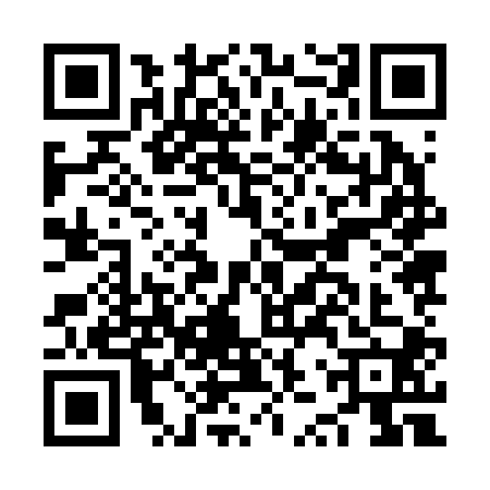 QR code for NZZ2007